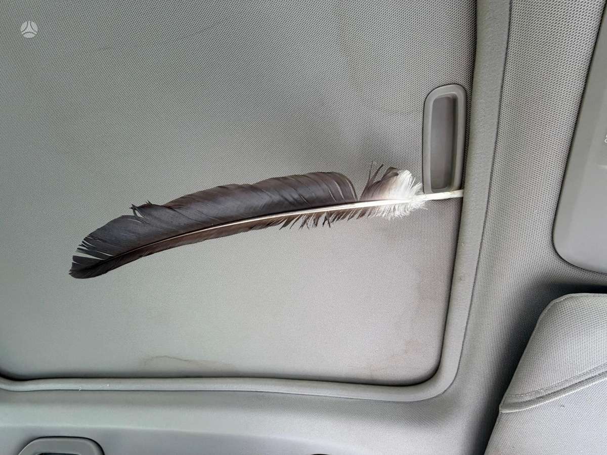 Subaru Outback, Универсал