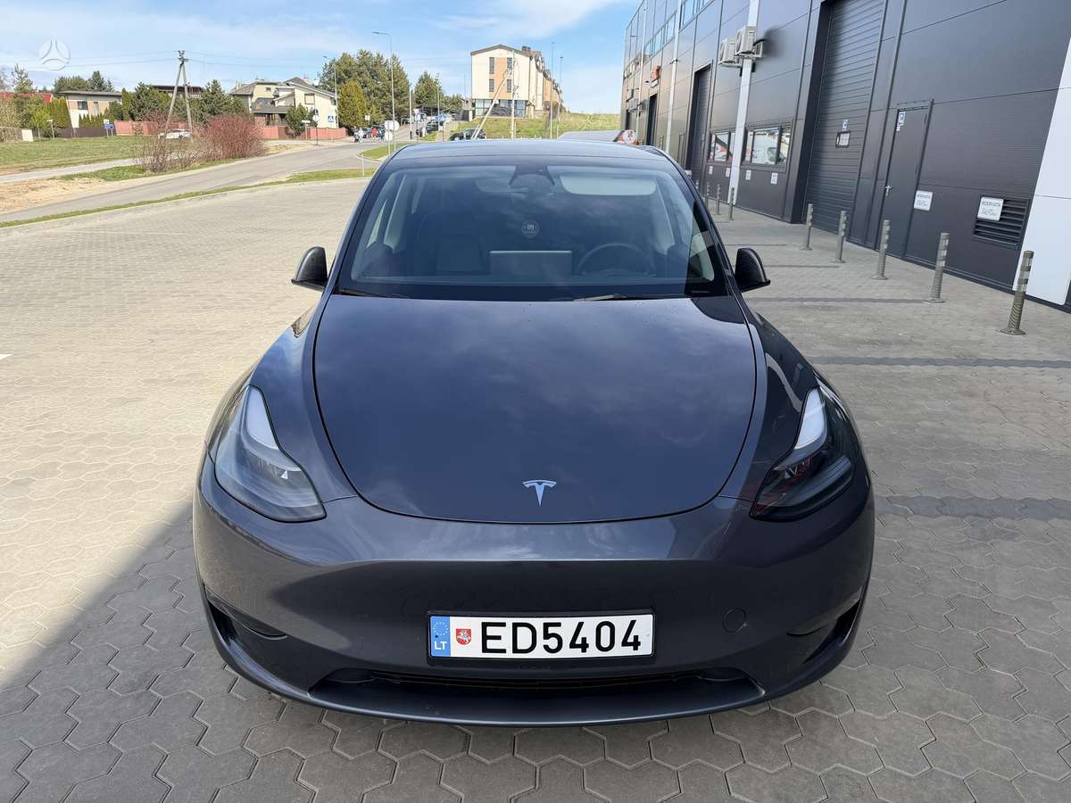 Tesla Model Y, Минивэн