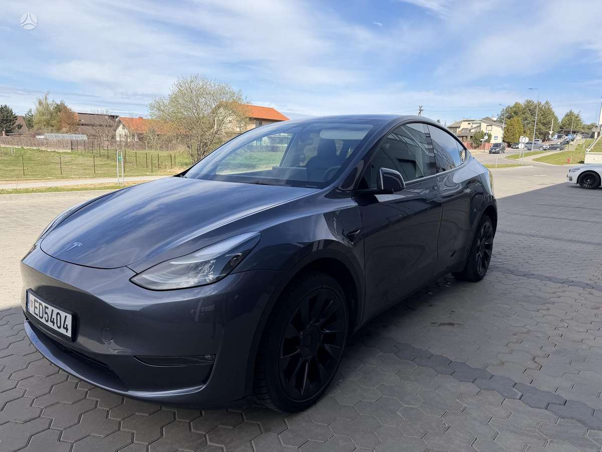 Tesla Model Y, Минивэн