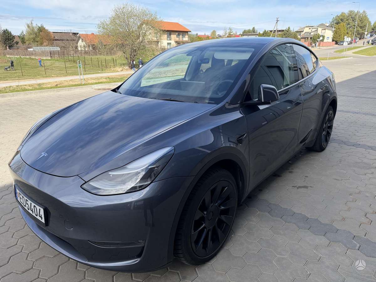 Tesla Model Y, Минивэн
