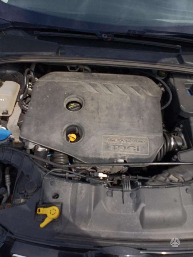Ford Focus, 1.6 l., universalas