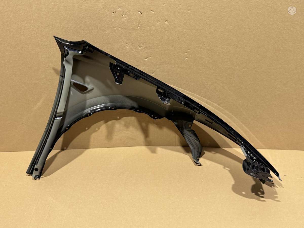 Tesla Model Y Juniper defektuotas