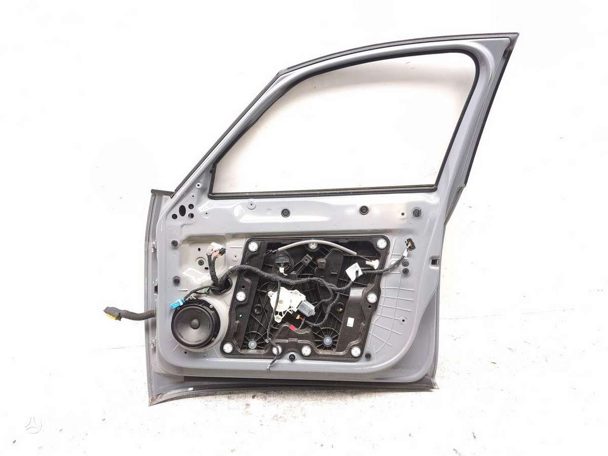 Cupra Born doors