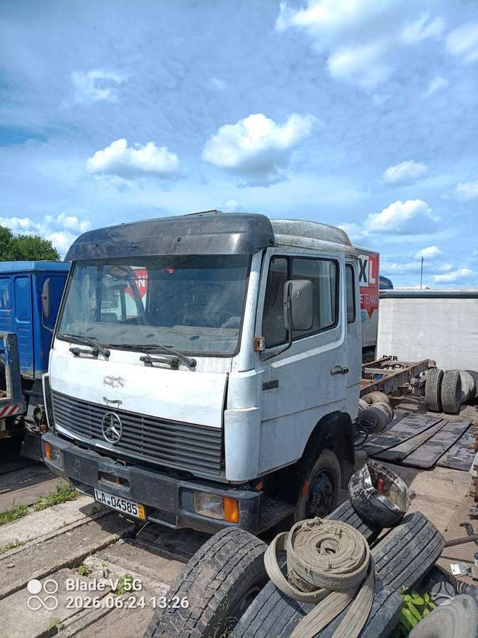 Mercedes-Benz 817, bortiniai