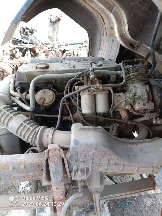 Mercedes-Benz 817, bortiniai