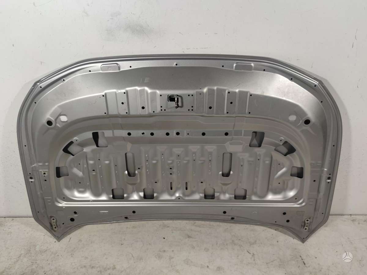 Toyota RAV4 hood (front, rear)