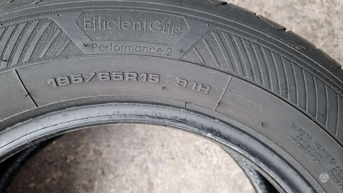 Goodyear Eficient Grip Perfomance 2, summer 195/65 R15