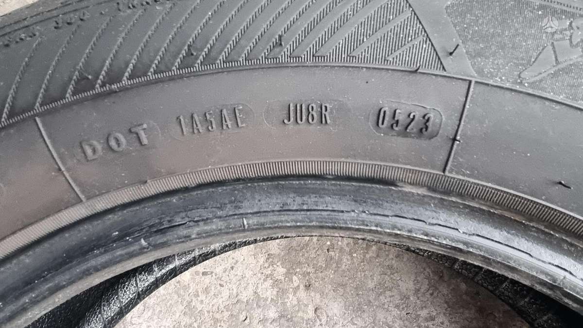 Goodyear Eficient Grip Perfomance 2, summer 195/65 R15