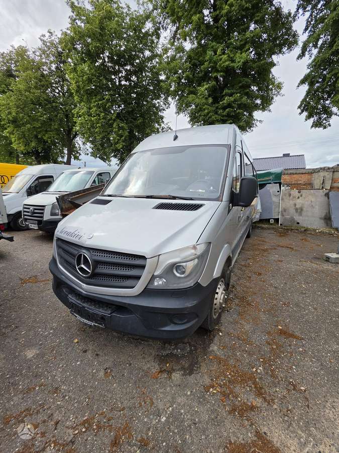 Mercedes-Benz Sprinter, passenger vans