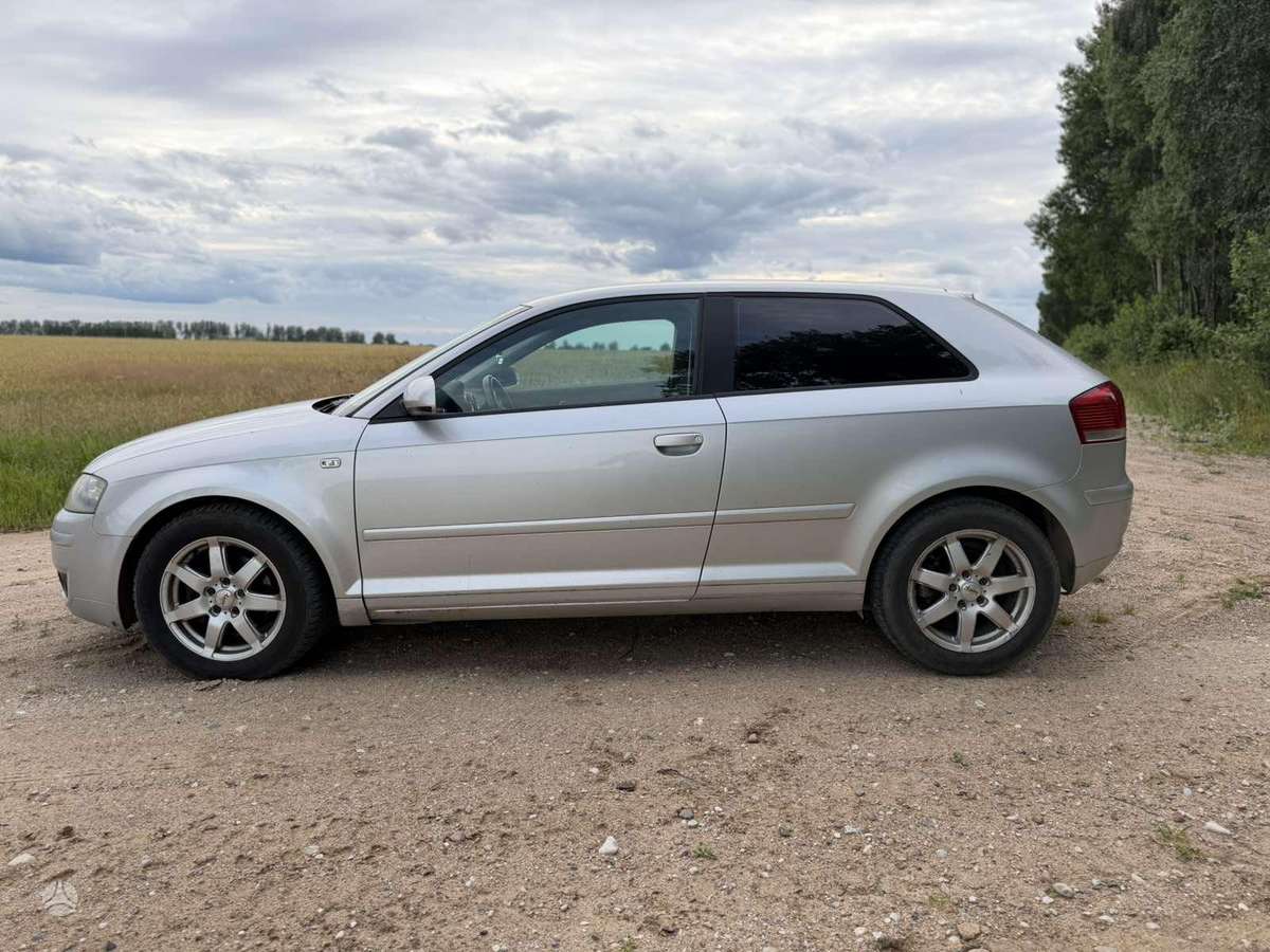 Audi A3, 2.0 l., hečbekas