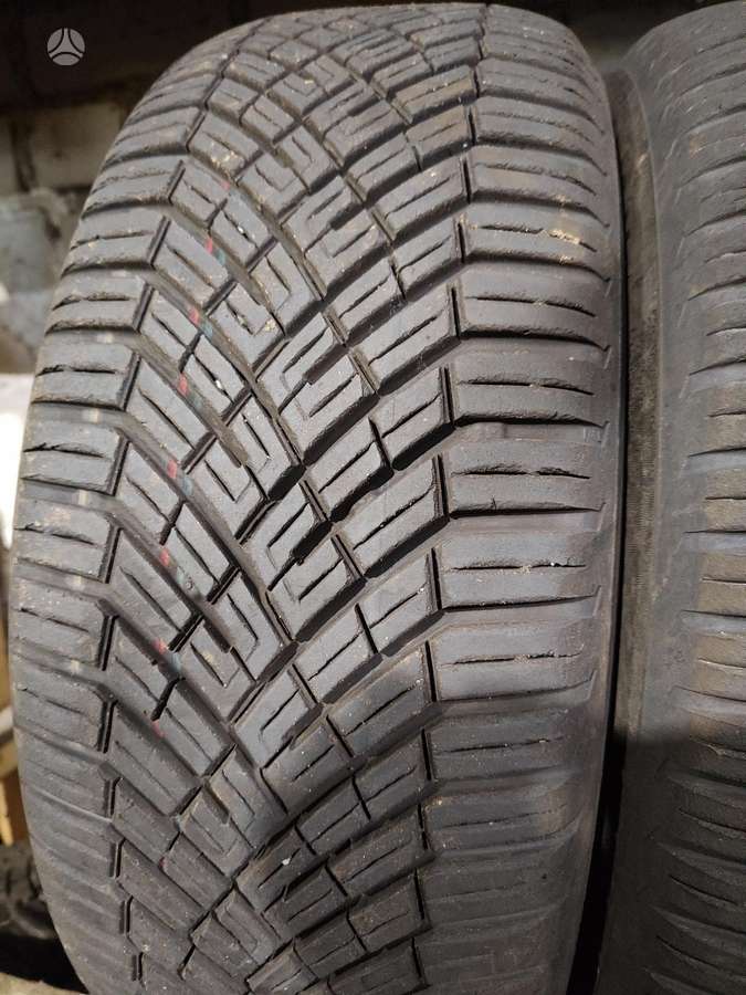Dunlop, universalios 205/55 R16