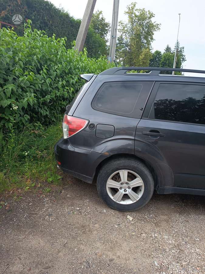 Subaru Forester, Внедорожник / Кроссовер