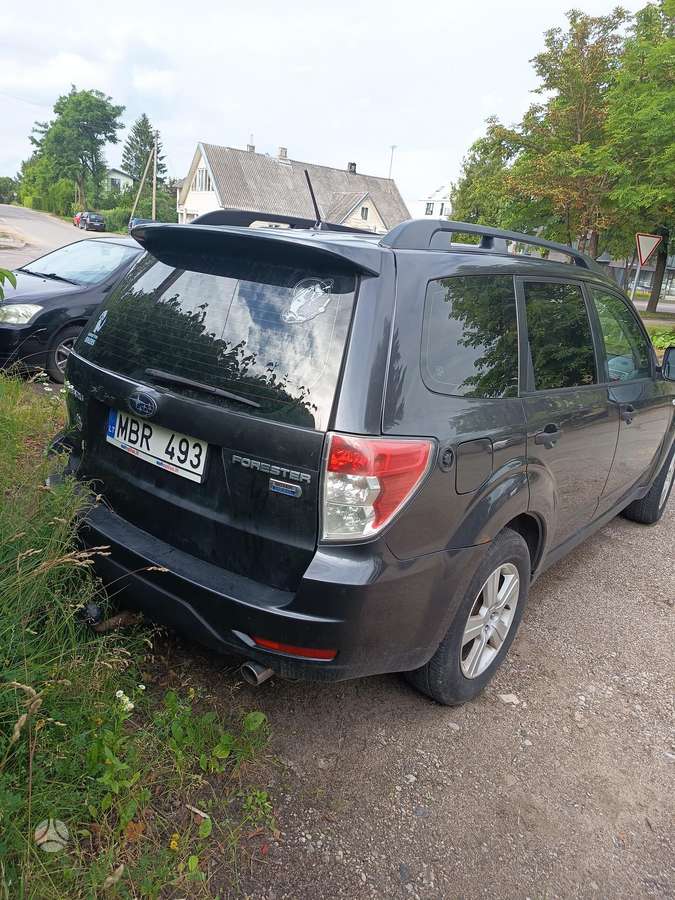Subaru Forester, Внедорожник / Кроссовер
