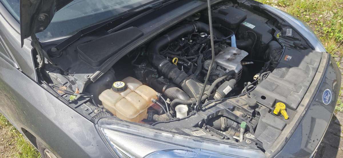 Ford Focus, 1.0 l., Хэтчбек