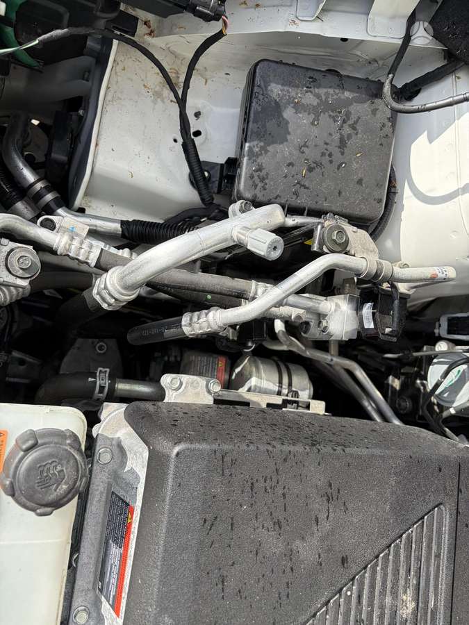 Nissan Leaf, 62 kWh, hatchback