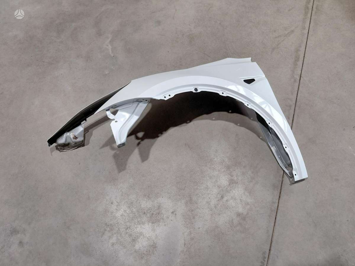 Tesla Model Y spārni