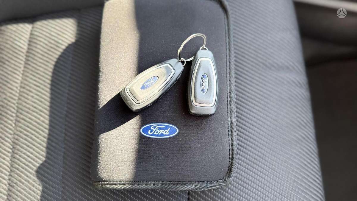 Ford S-MAX, 2.0 l., mpv / minivan