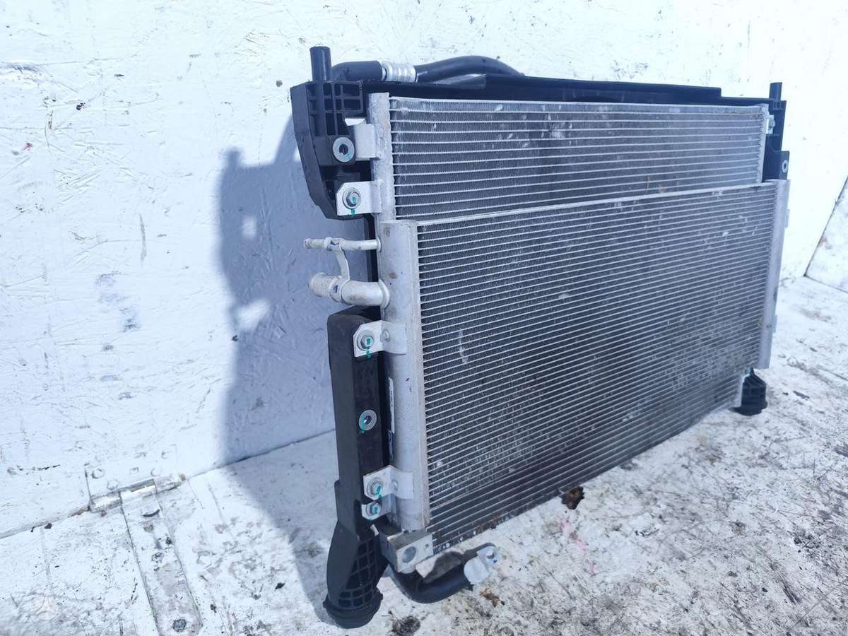 BYD Dolphin Surf, 13780930, radiator