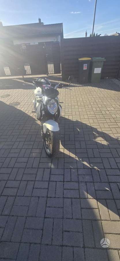 Suzuki SFV (Gladius) 650cc, street / classic