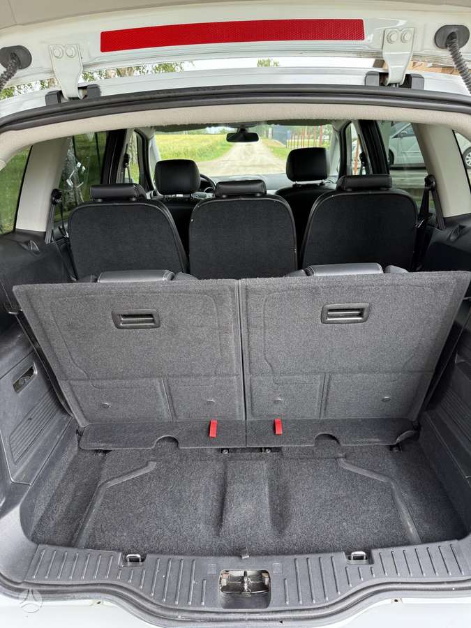 Ford S-MAX, 2.0 l., mpv / minivan