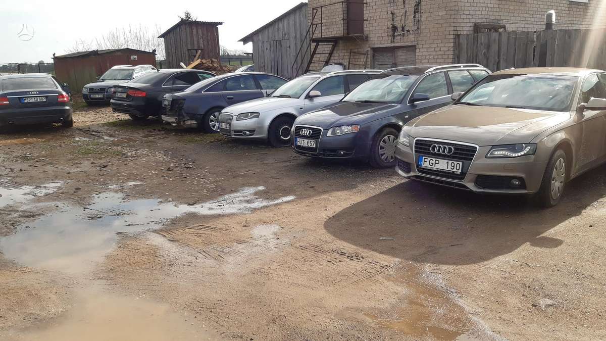Audi A4 Dalimis