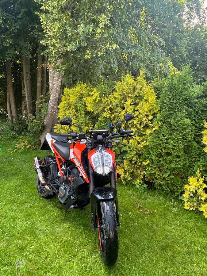 KTM Duke 125cc, street / classic