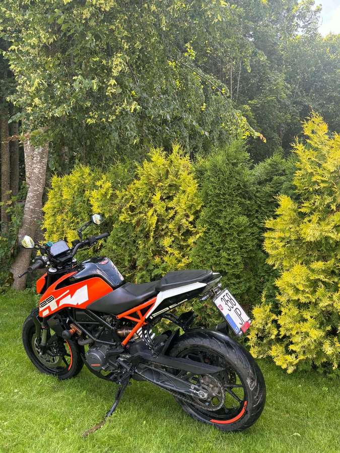 KTM Duke 125cc, street / classic