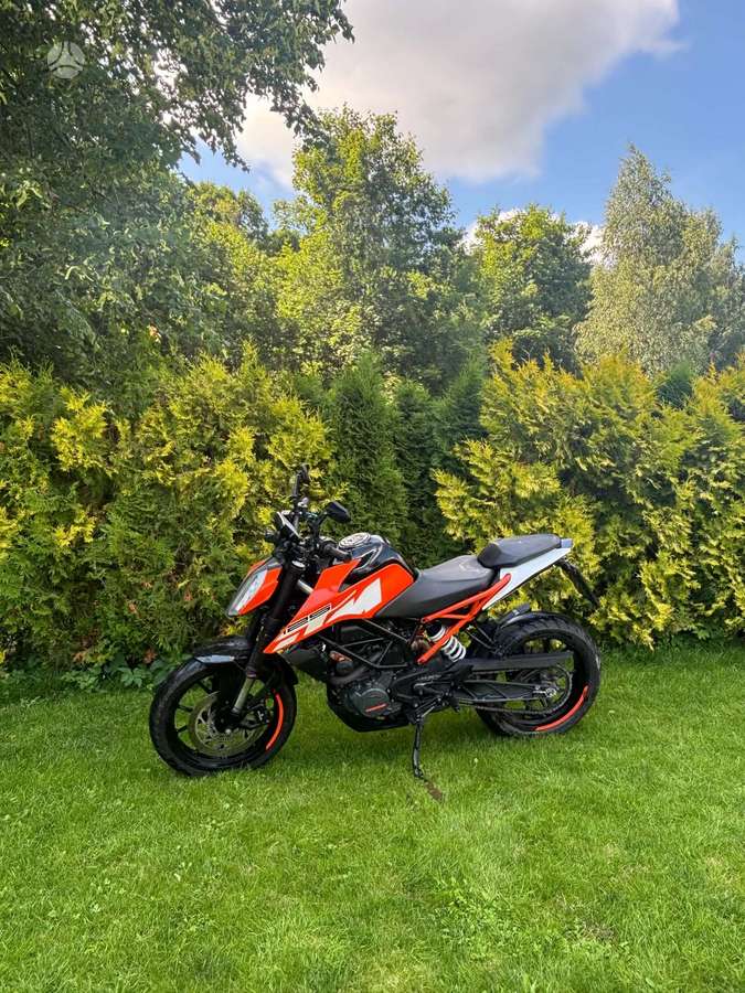 KTM Duke 125cc, street / classic