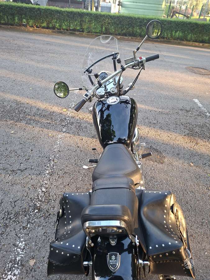 Suzuki VZ 800cc, choppers