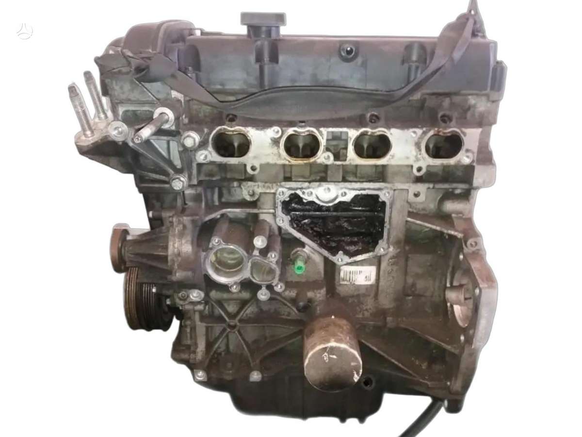 Ford Focus, SHDA, масла