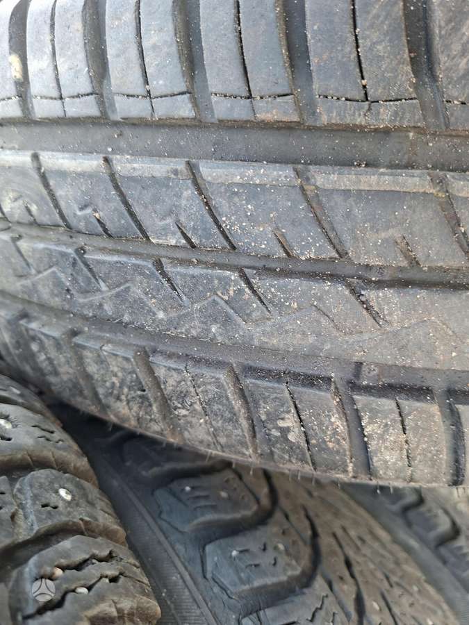 Kelly, summer 185/65 R15