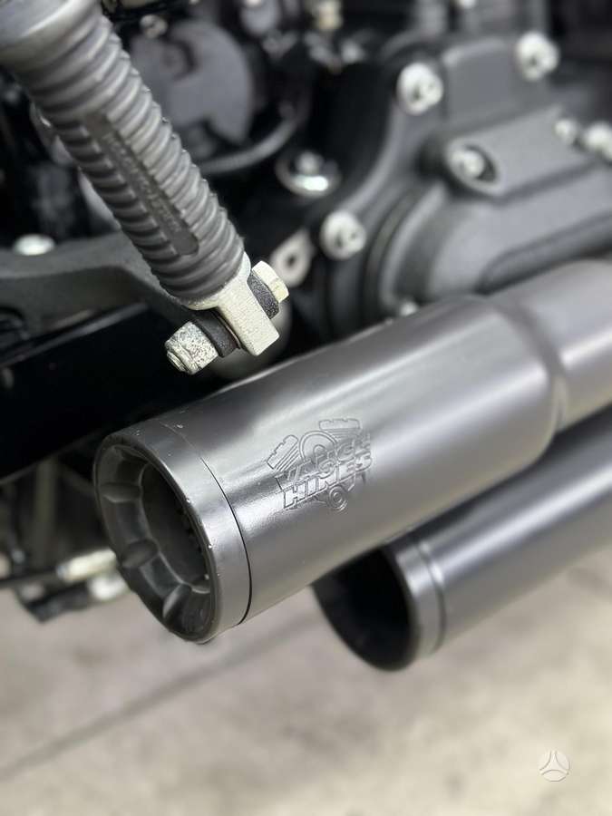 Harley-Davidson Dyna 1700cc, choppers