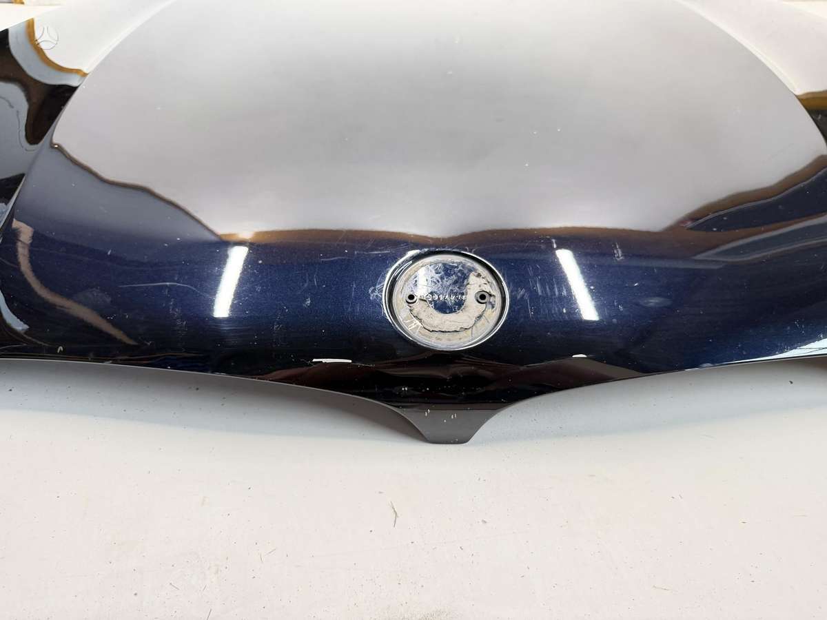 BMW X5 hood (front, rear)