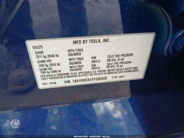 Tesla Model Y, Внедорожник / Кроссовер