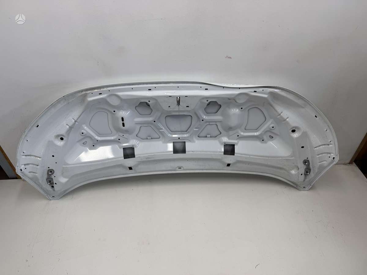 Volkswagen Transporter hood (front, rear)