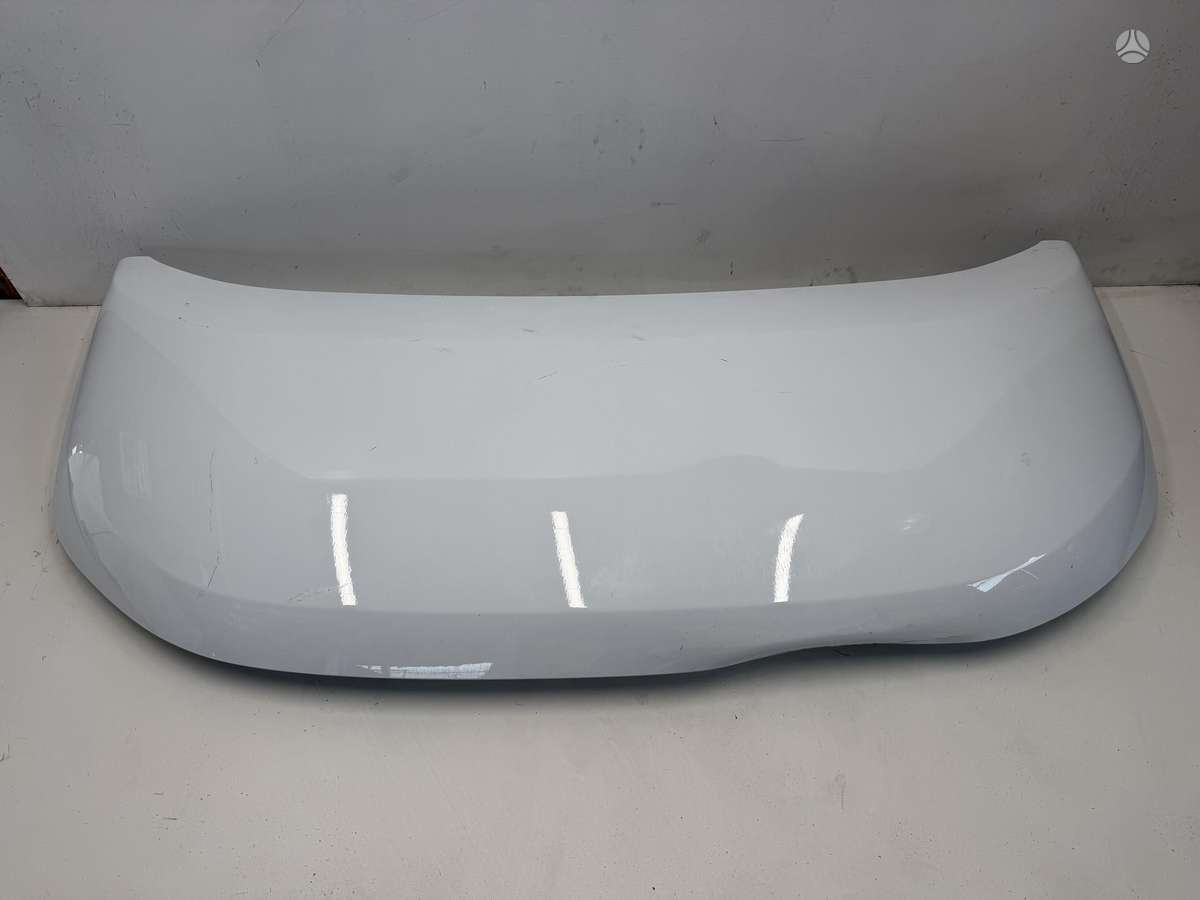 Volkswagen Transporter hood (front, rear)