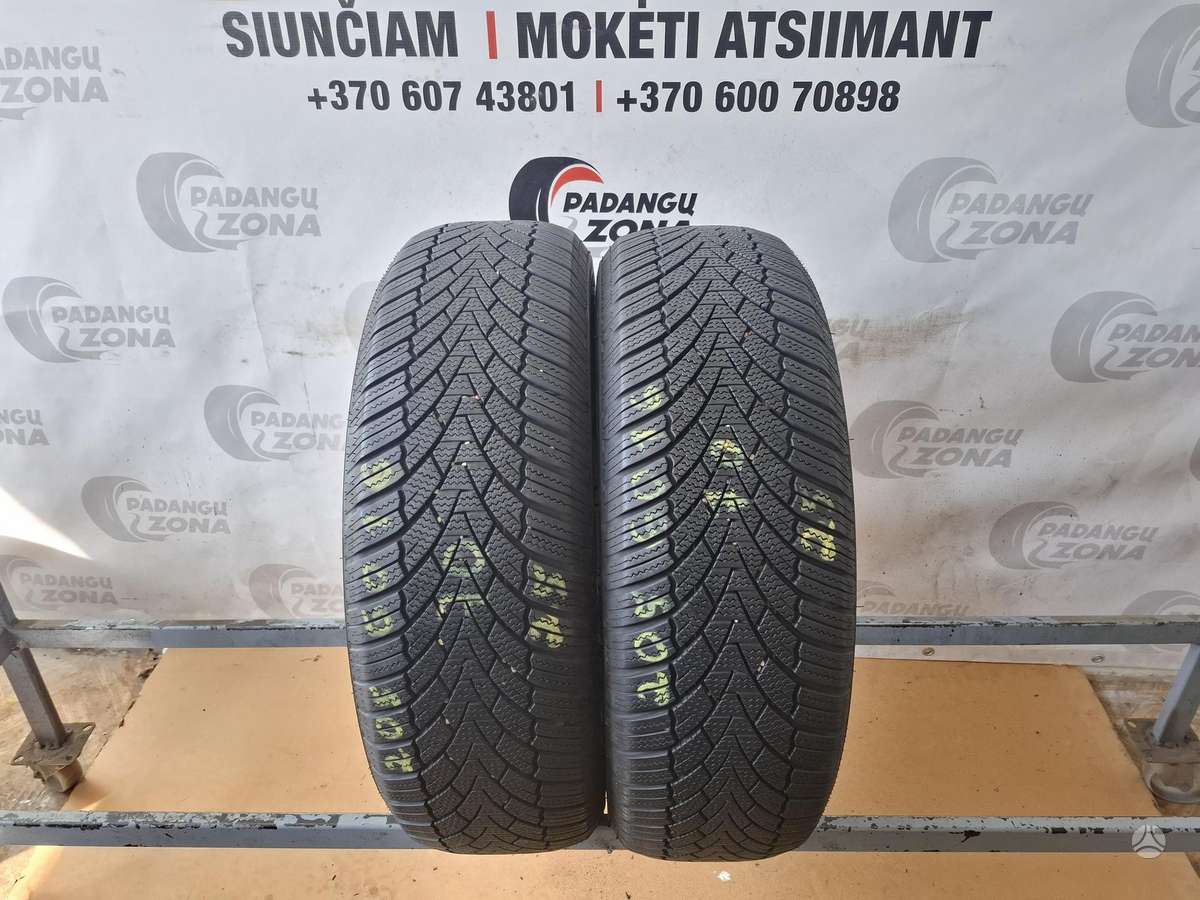 FRONWAY Icemaster I, winter 205/60 R16