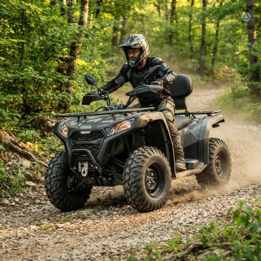 Goes TERROX 400L 400cc, keturračiai