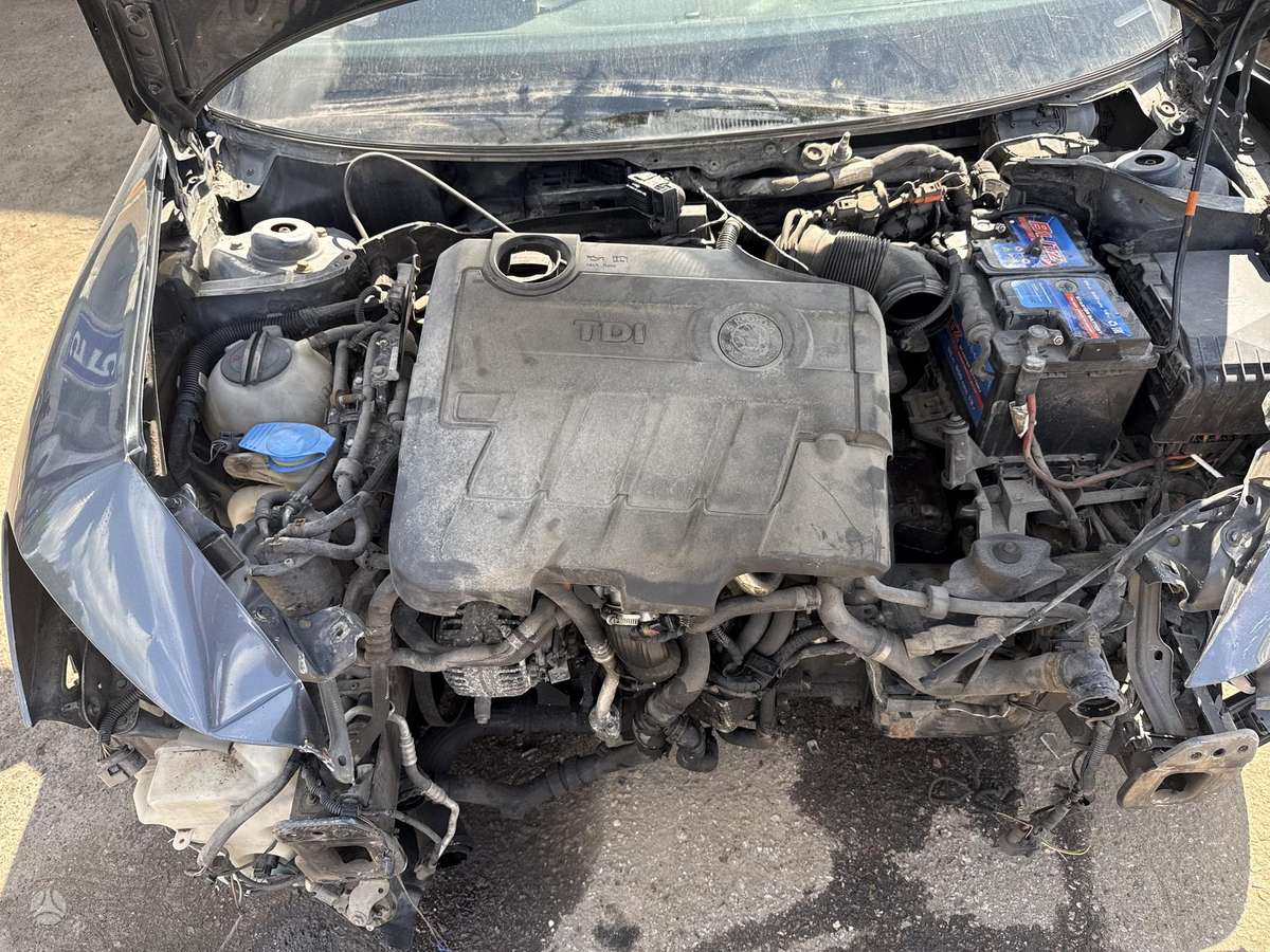 Skoda Octavia Minsko pl 33a 5 angaras