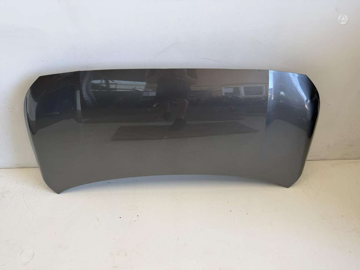Kia Picanto dangtis (priekinis, galinis), sparnai