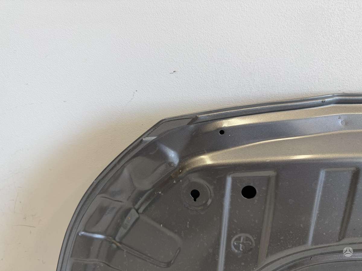 Kia Picanto dangtis (priekinis, galinis), sparnai