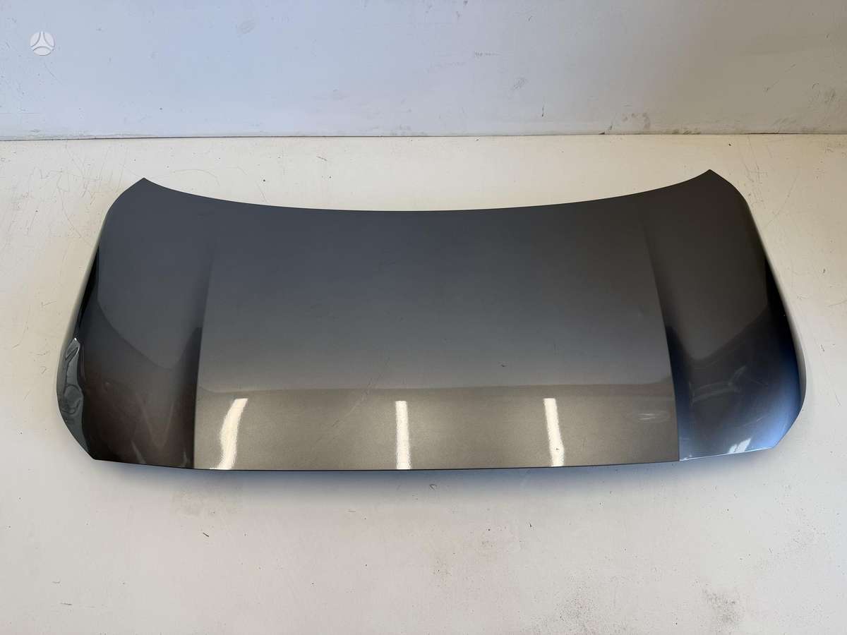 Kia Picanto dangtis (priekinis, galinis), sparnai