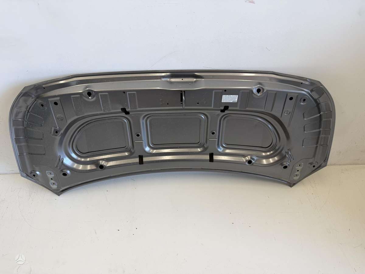 Kia Picanto dangtis (priekinis, galinis), sparnai