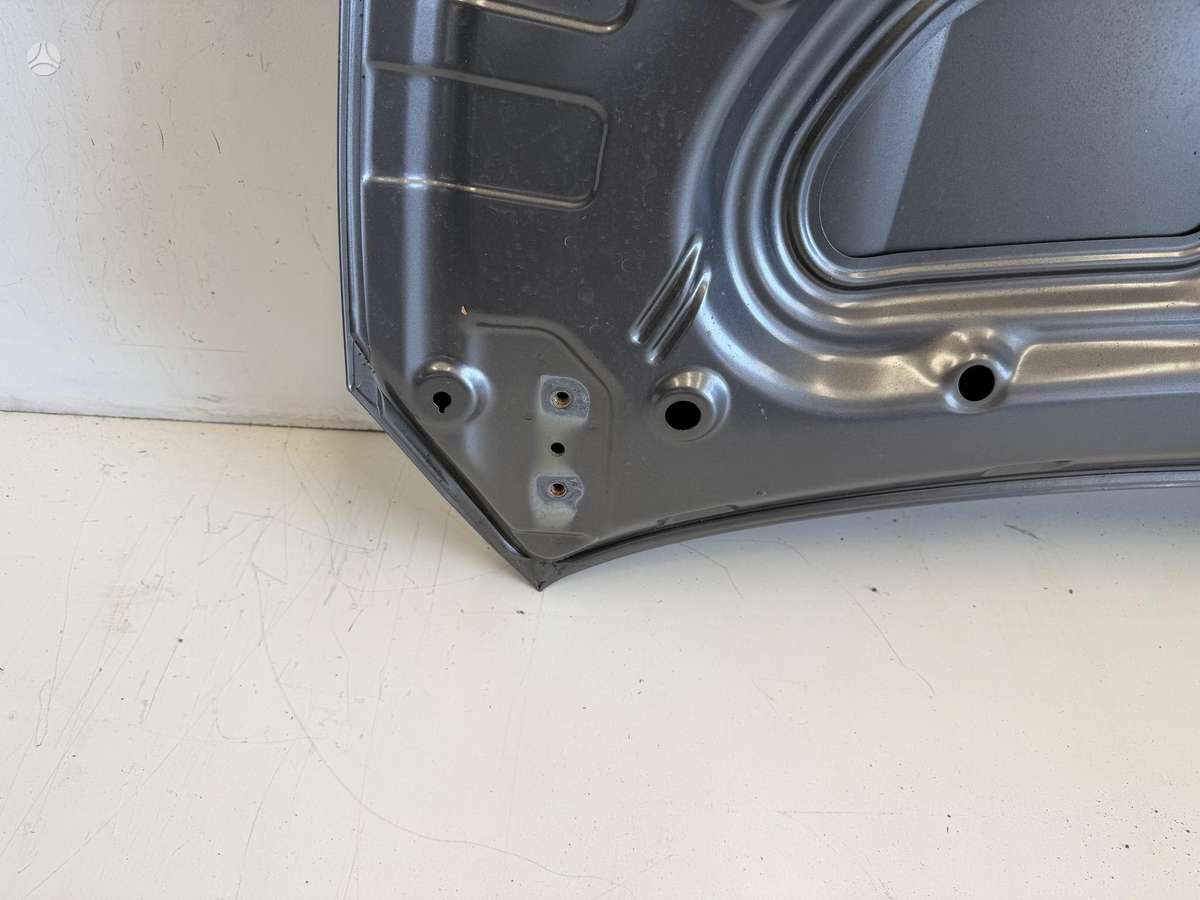 Kia Picanto dangtis (priekinis, galinis), sparnai