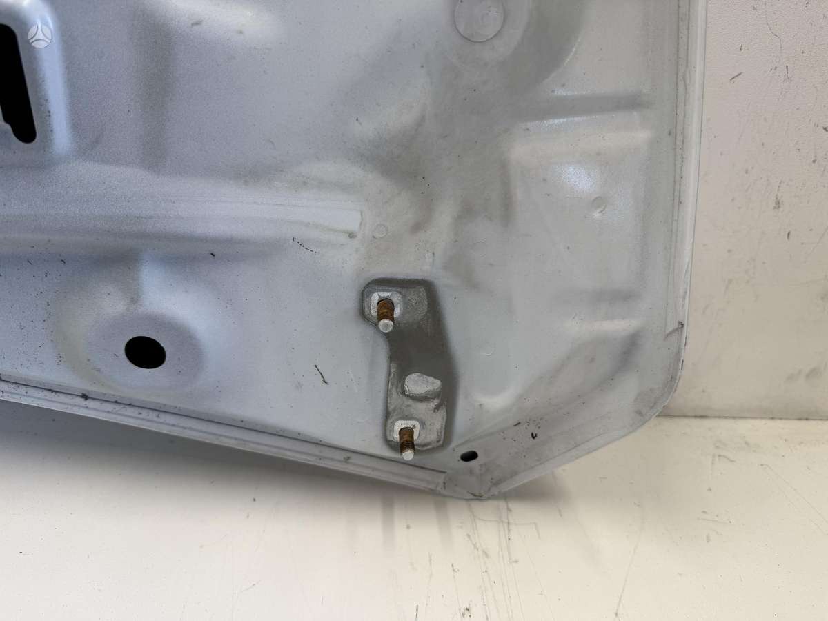 Renault Trafic dangtis (priekinis, galinis)