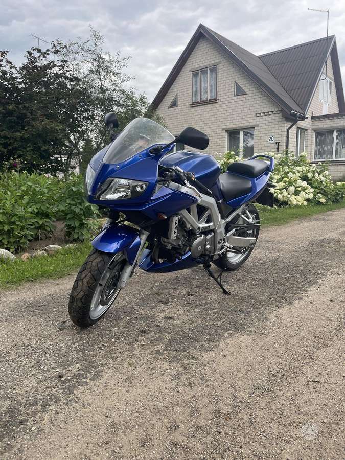 Suzuki SV 645cc, street / classic