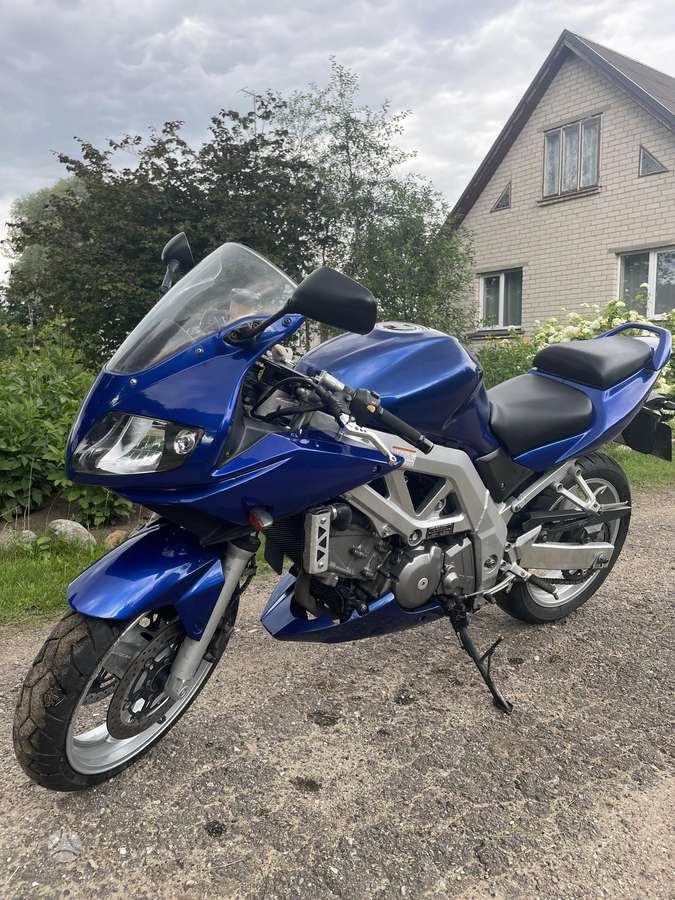 Suzuki SV 645cc, street / classic