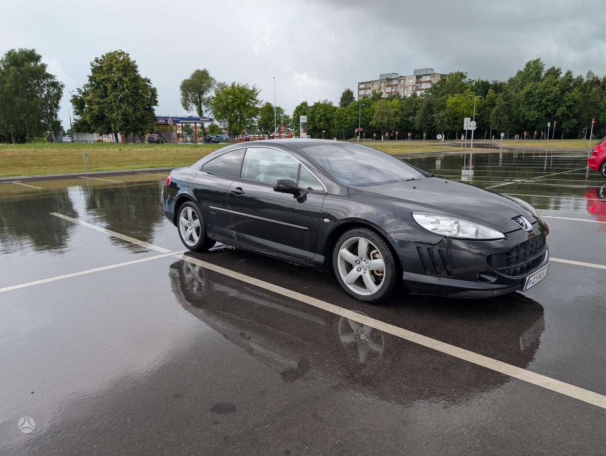 Peugeot 407 - 3