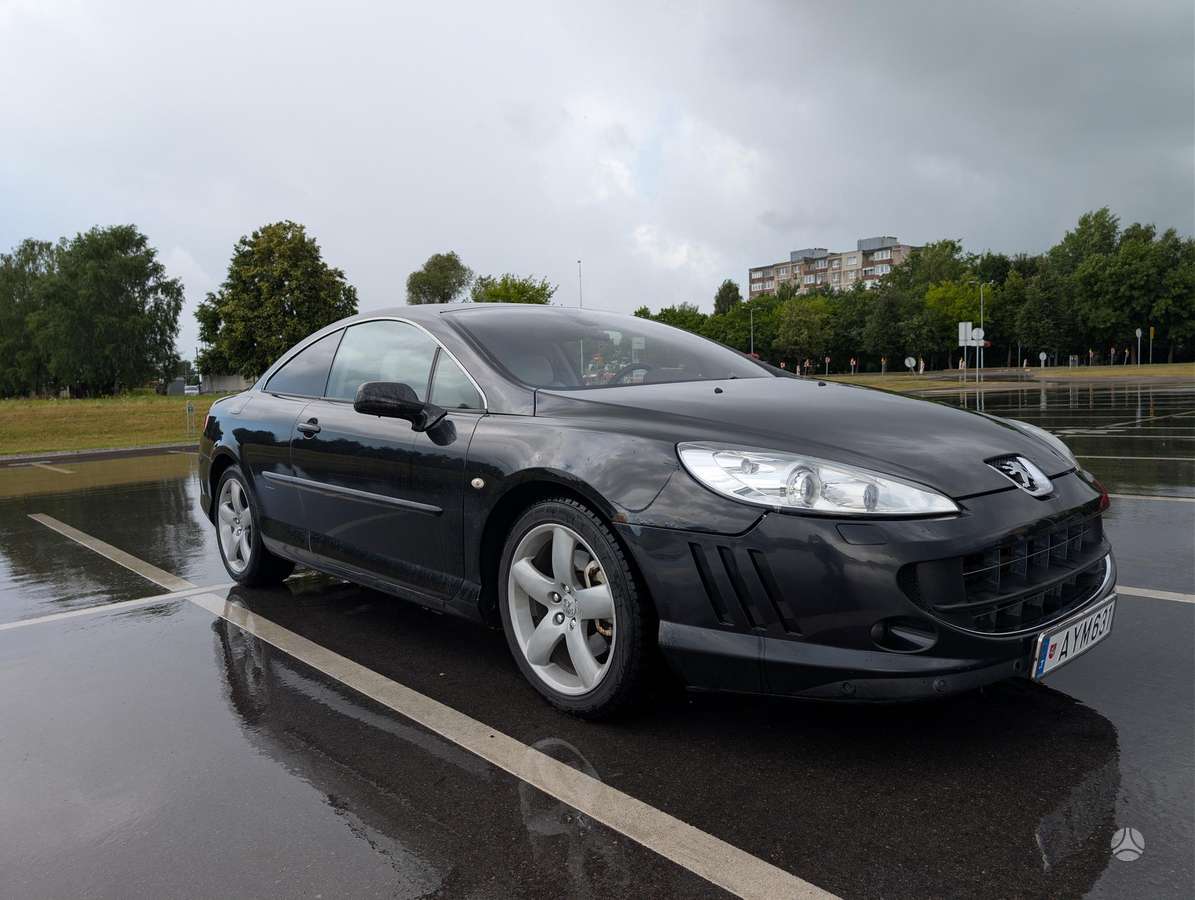 Peugeot 407 - 8