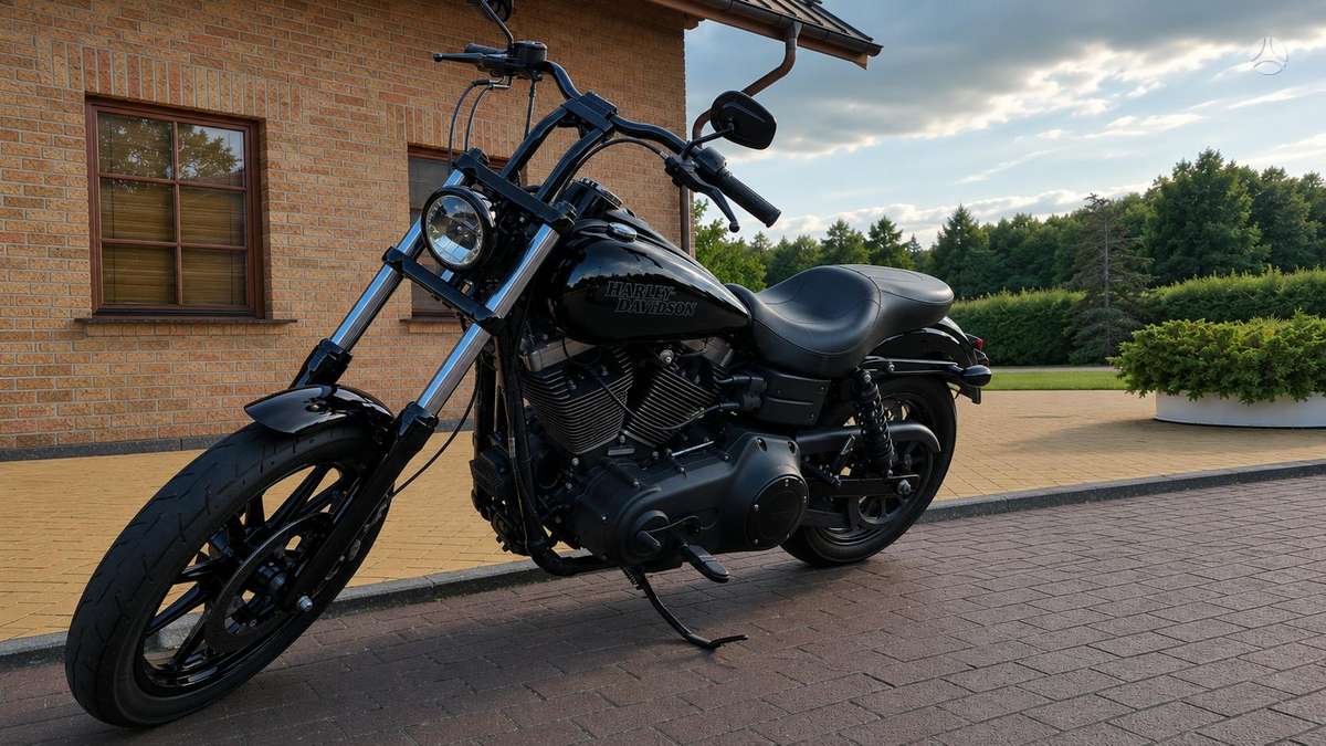 Harley-Davidson Dyna 1600cc, чопперы / круизеры / custom